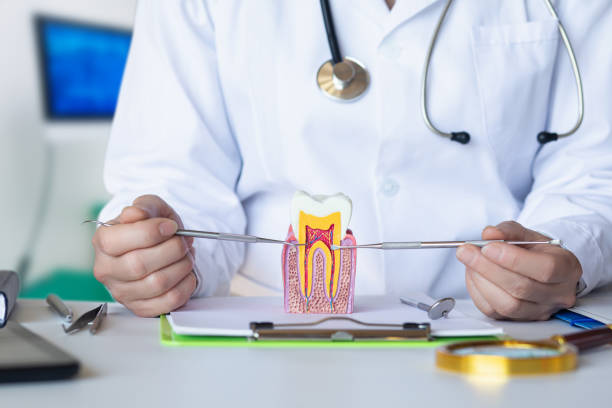 Best Emergency Treatment for Dental Infections or Abscesses in Fennville, MI